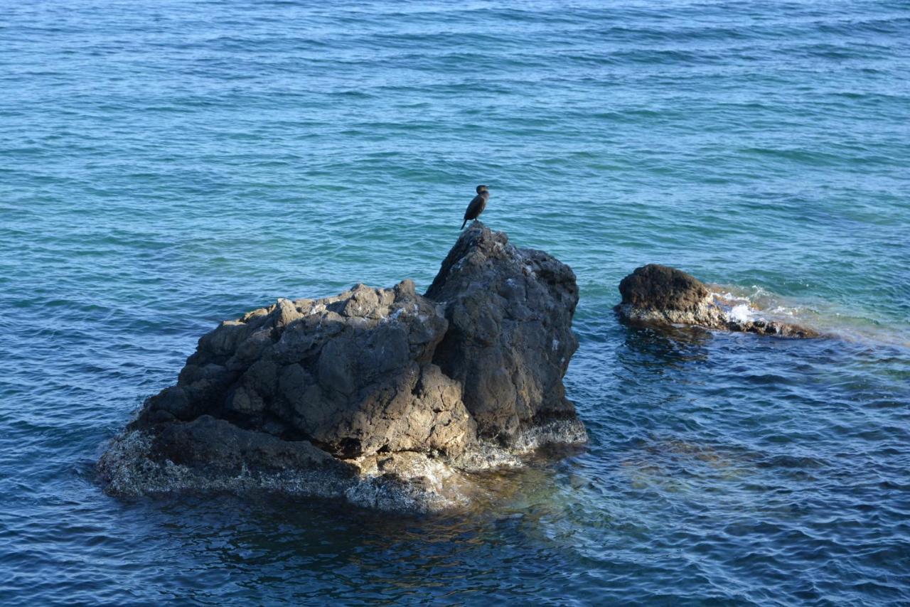 Ilgirasole B&B Rapallo Luaran gambar